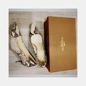 Coach Classic Snake Print Pumps -6.5